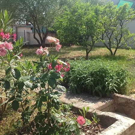 Apartmán Boglic Umag