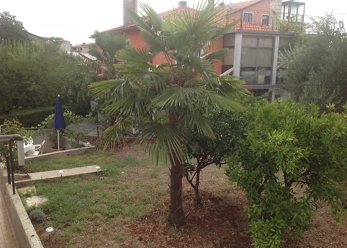 Boglic Umag